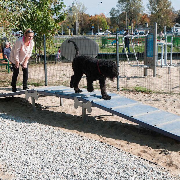 Dog's Playgrounds